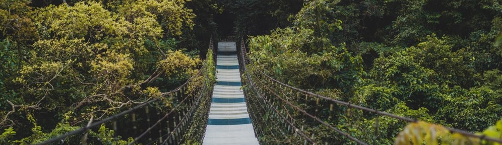 ESG (CSR) /Sustainability
